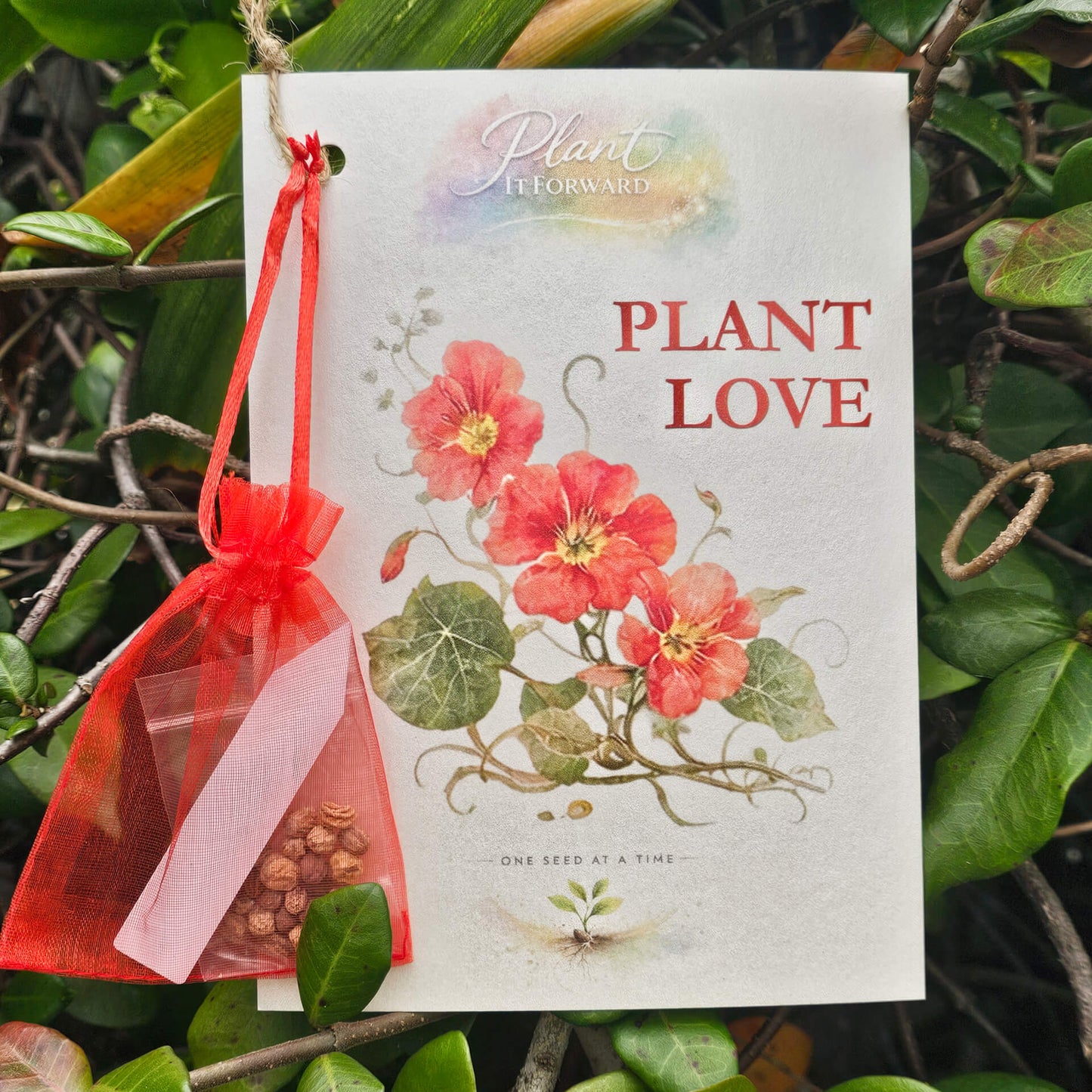 Plant Love card with Nasturtium seeds