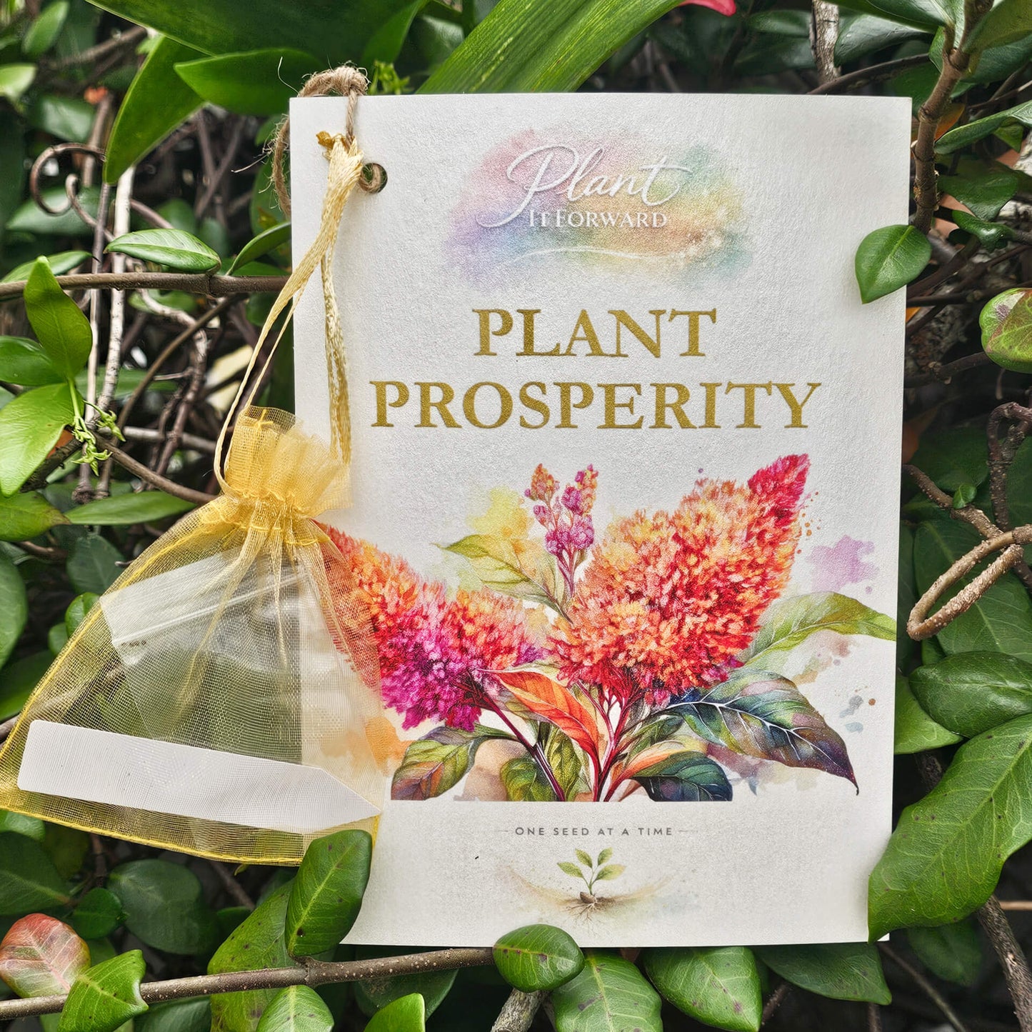 Plant Prosperity card with Amaranth seeds