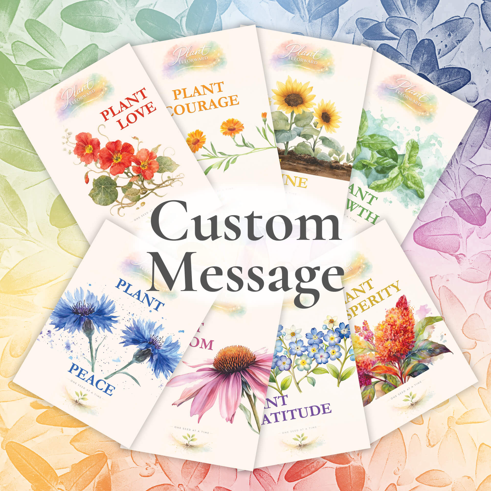Customize a message on a card