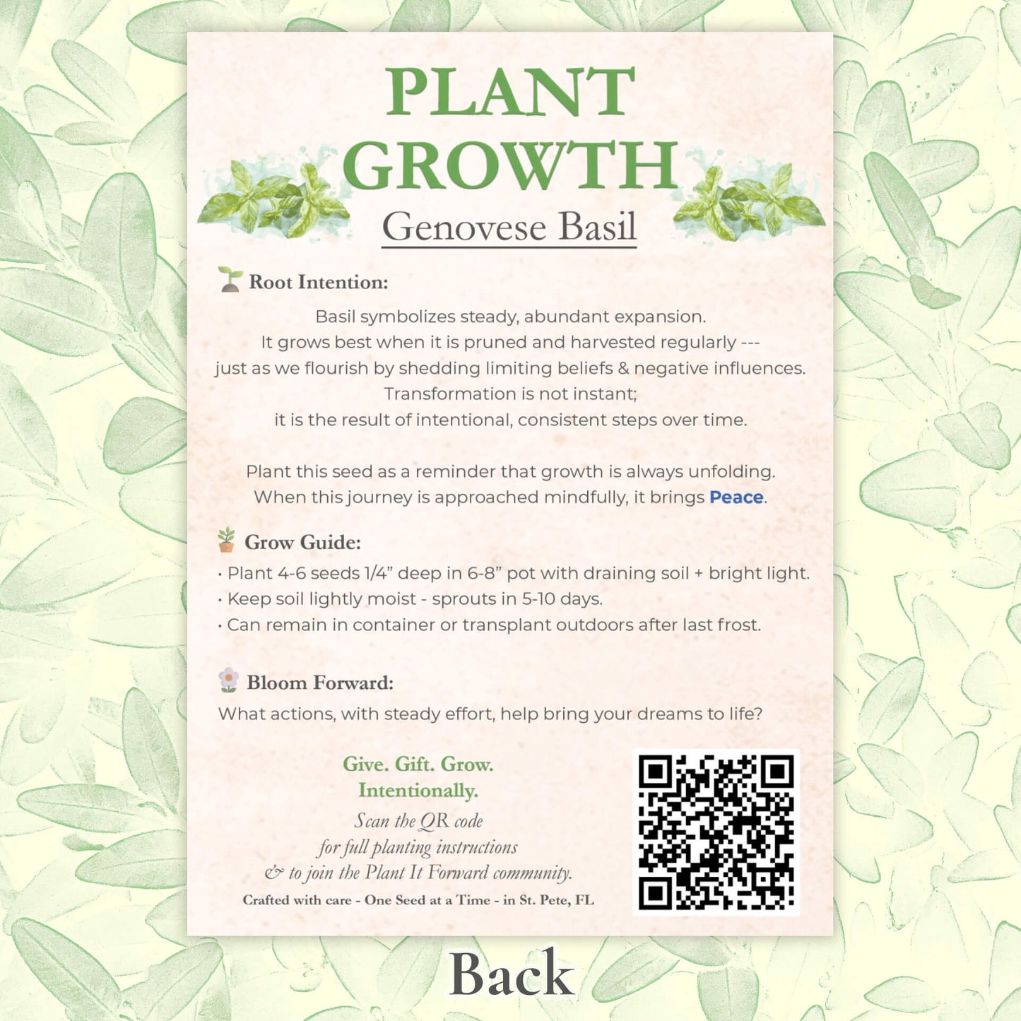Plant Growth - Card Back