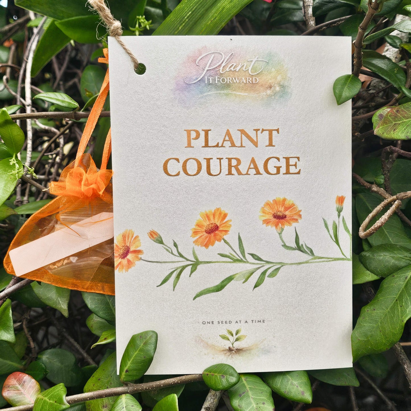 Plant Courage card with Calendula seeds