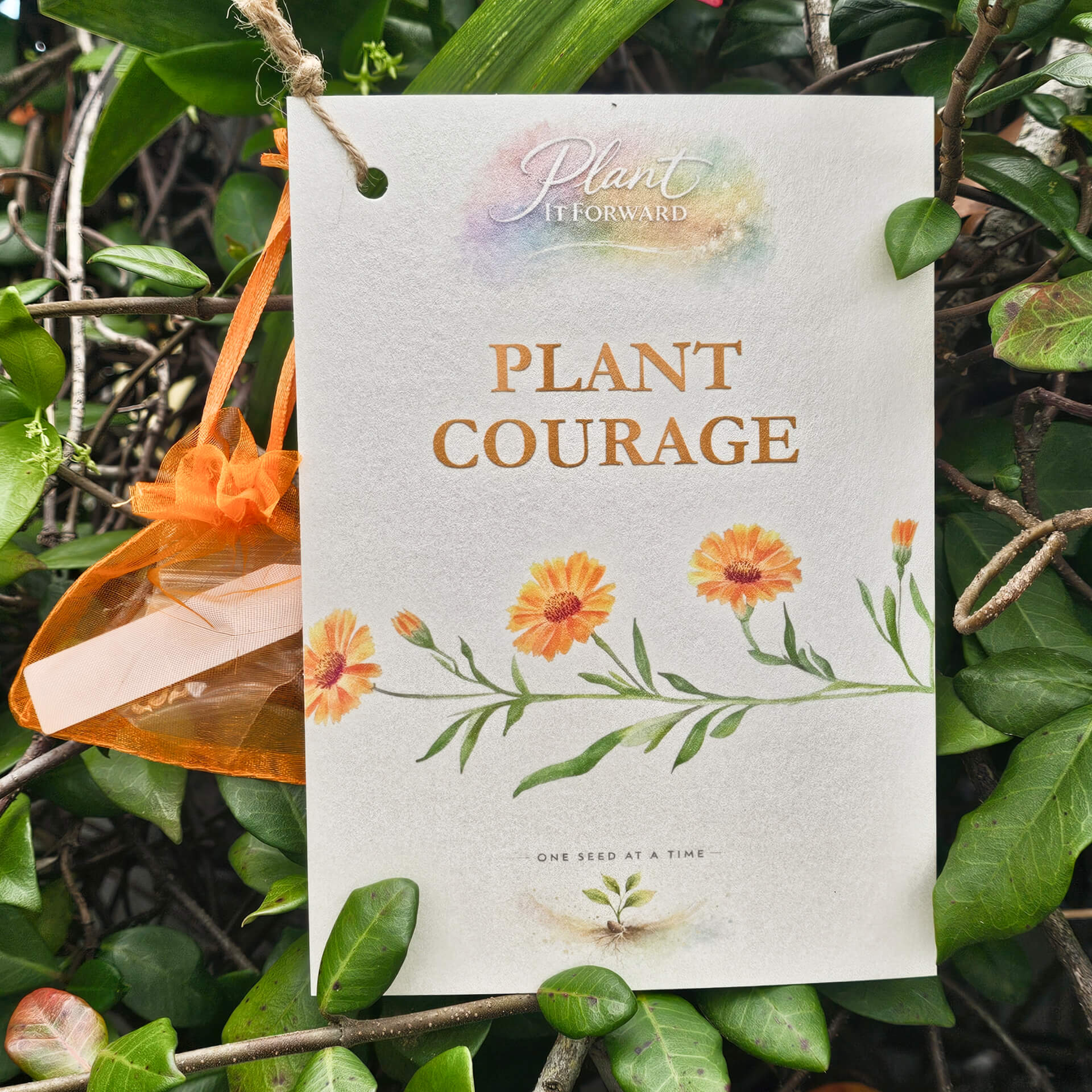 Plant Courage card with Calendula seeds