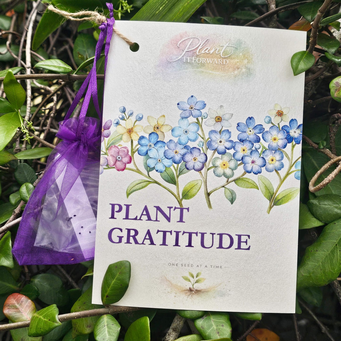 Plant Gratitude card with Forget-Me-Not seeds