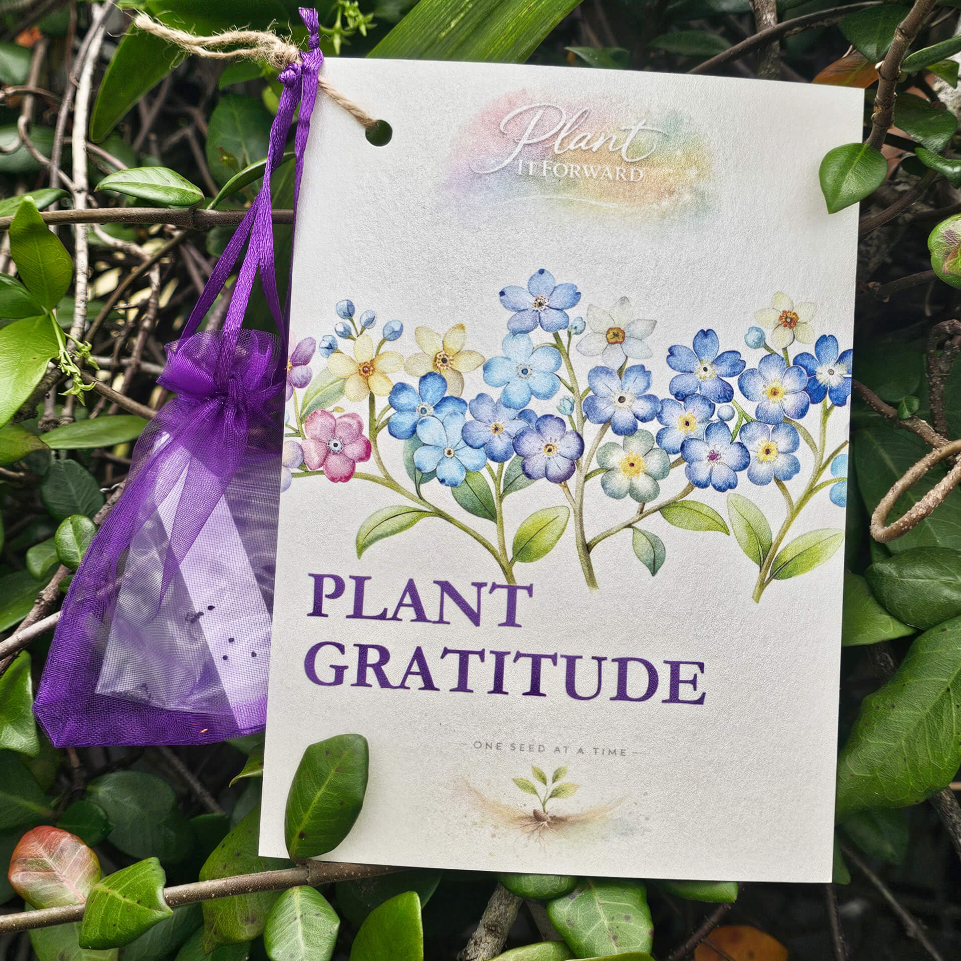 Plant Gratitude card with Forget-Me-Not seeds