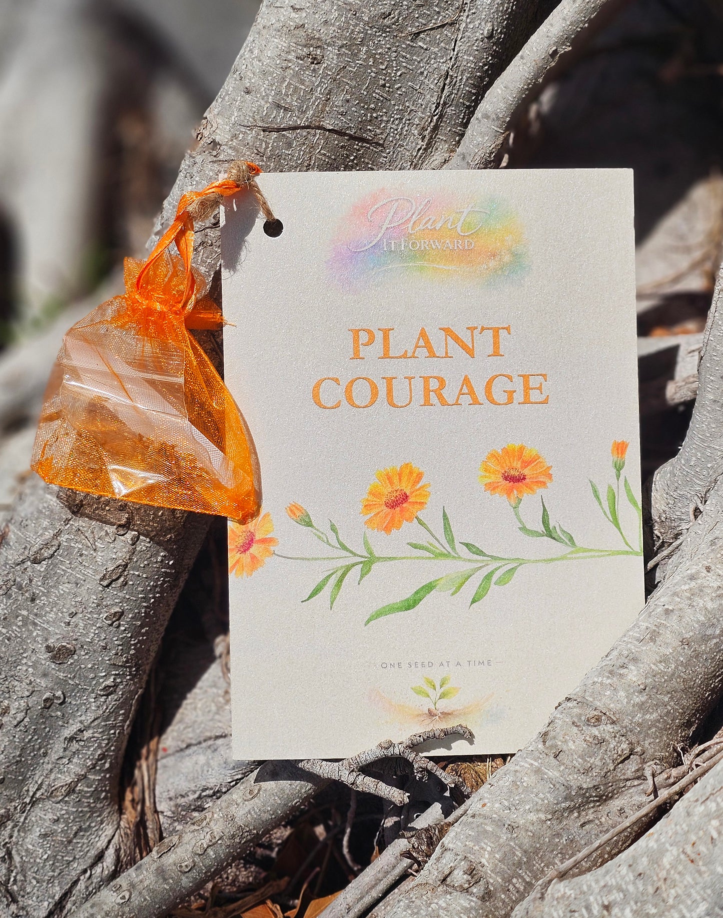 Plant Courage