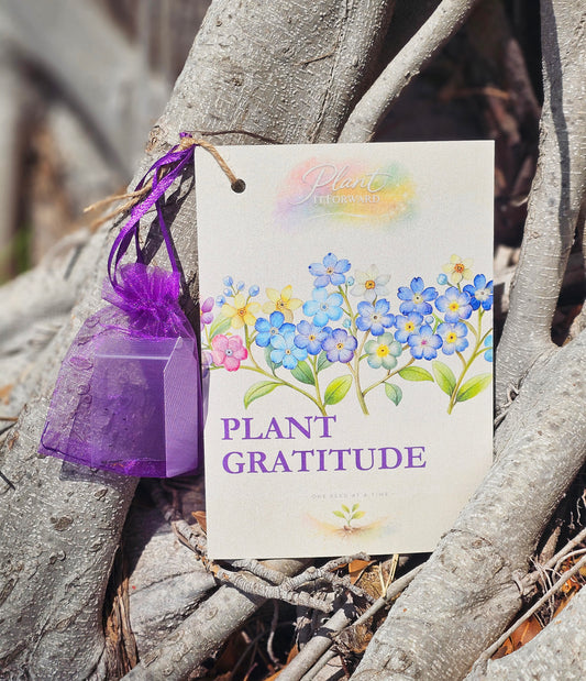 Plant Gratitude