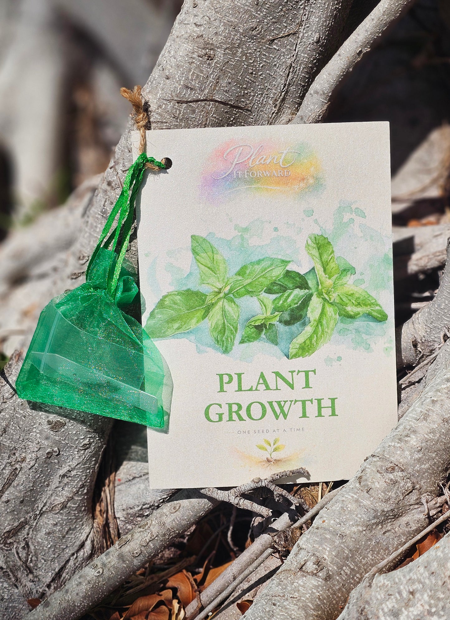 Plant Growth
