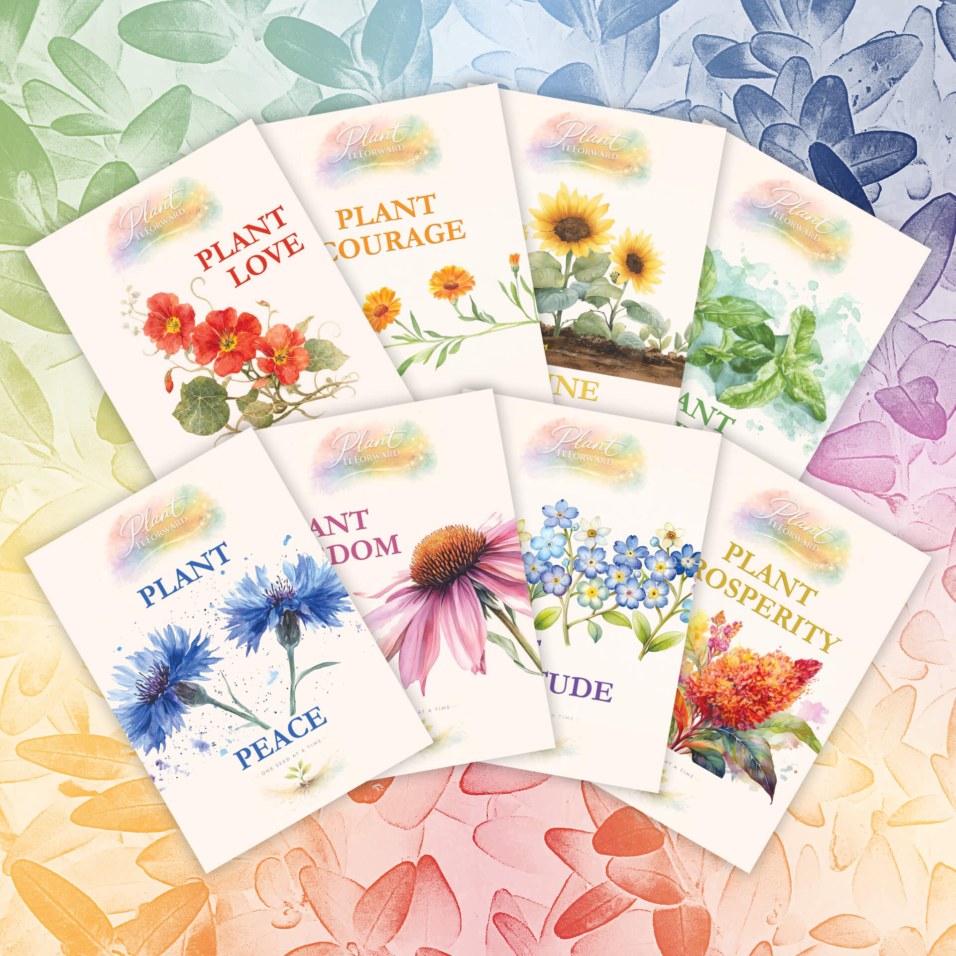 Rainbow Collection, all 8 seeds card fronts.