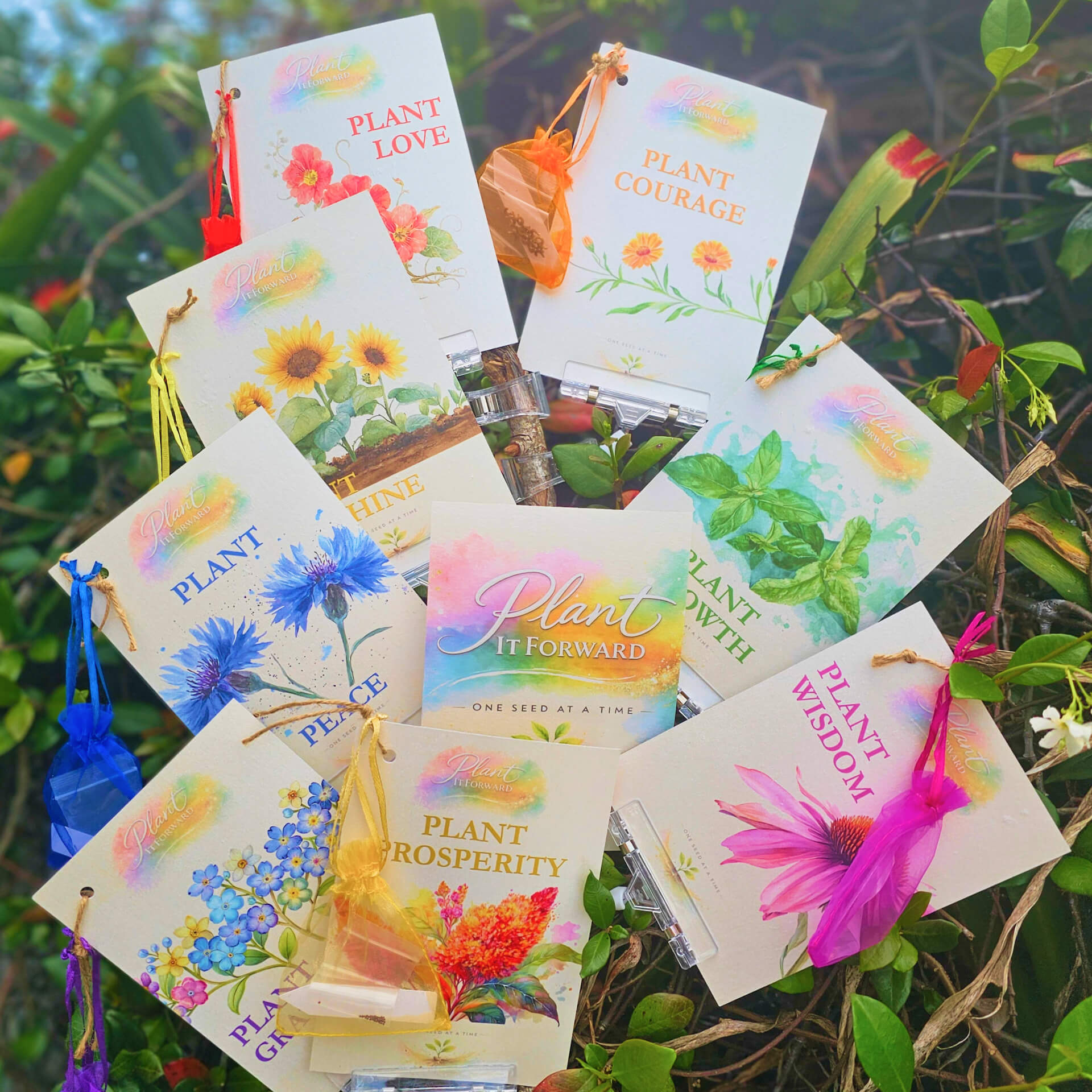 Rainbow Collection cards grouped together